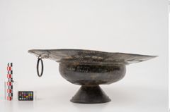 Foto von Bronzebreitrandfußschale (NHMW-PRAE-025274)